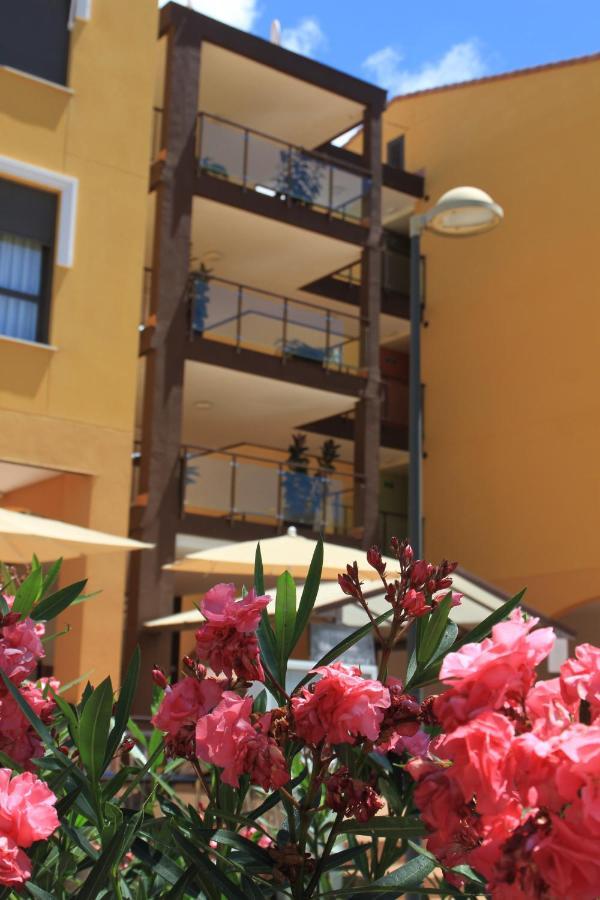 Spacious Apartment With Large Private Garden In Palm Mar מראה חיצוני תמונה