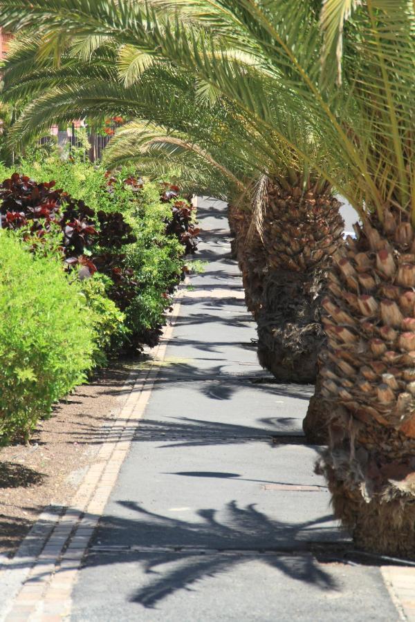 Spacious Apartment With Large Private Garden In Palm Mar מראה חיצוני תמונה